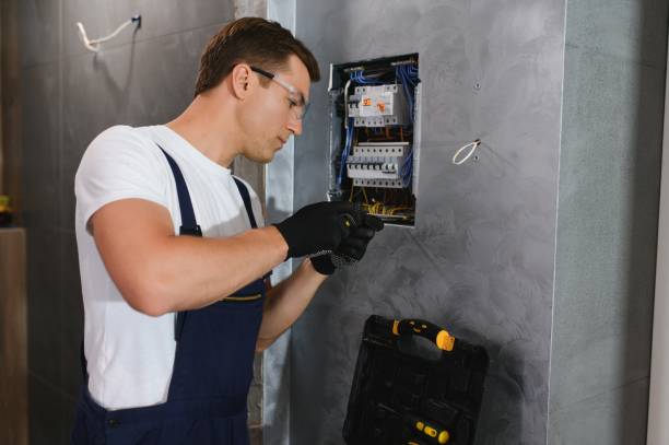 Best Electric Panel Repair  in Woodlake, CA