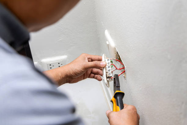 Best Electric Panel Repair  in Woodlake, CA